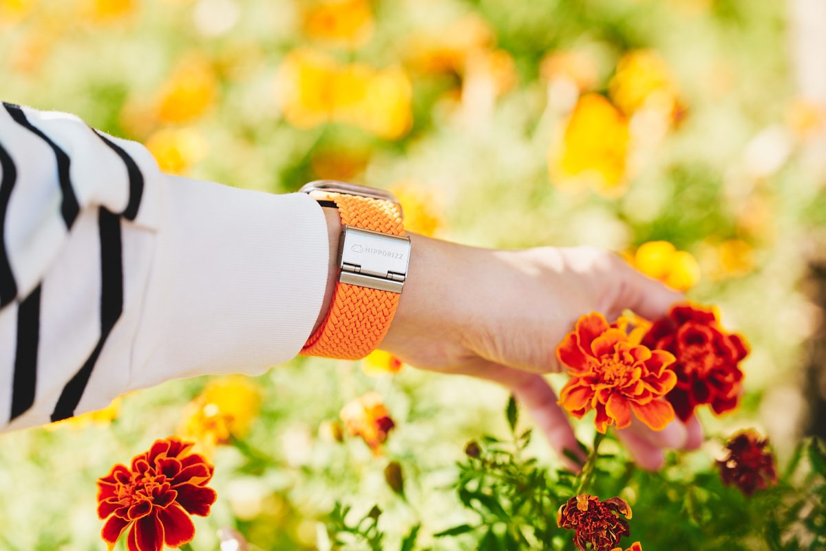 Apple Watch 錶帶推薦開箱 - Hipporizz 精選時尚錶帶，多樣款式應有盡有 - Apple Watch 錶帶, Hipporizz, Hipporizz錶帶 - 科技生活 - teXch