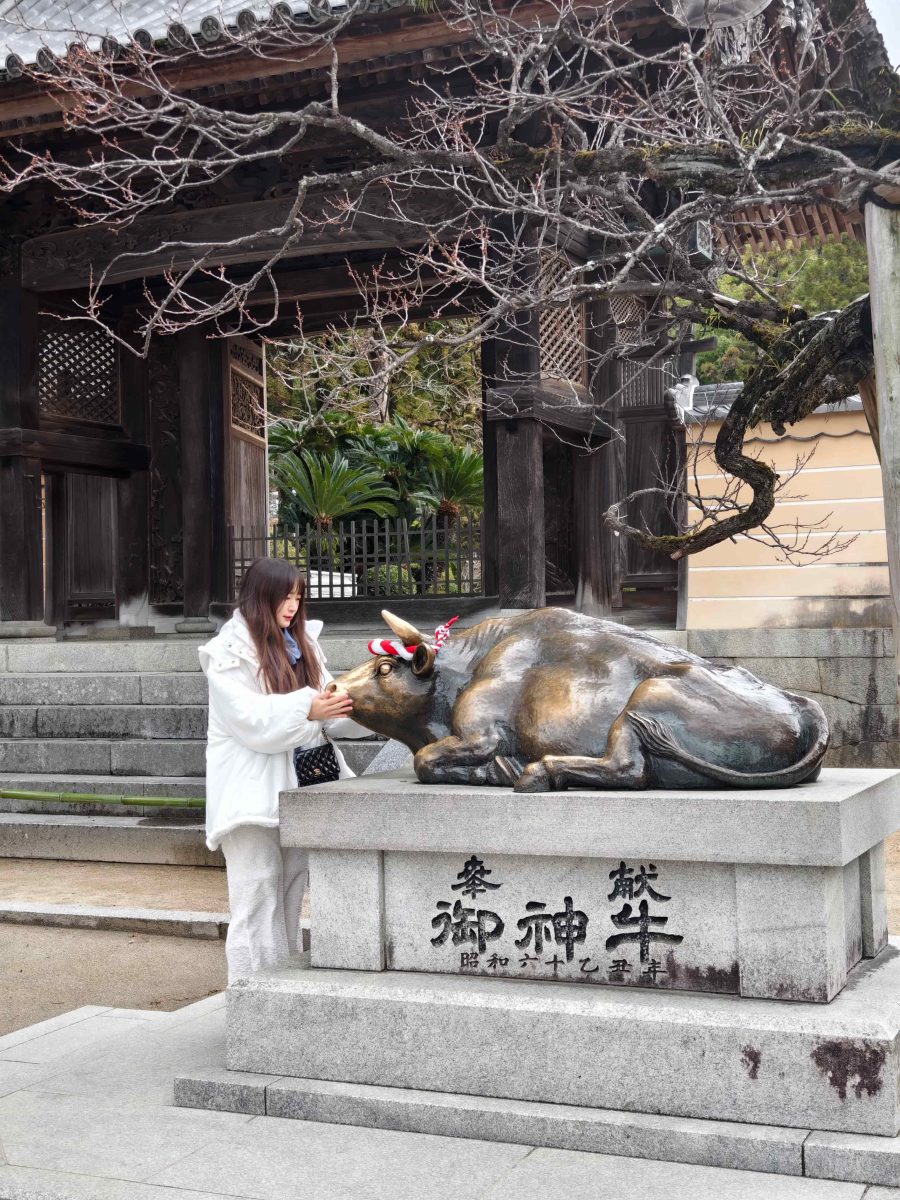 九州慢旅｜星浩旅遊九州十大必去景點＆必吃美食全攻略 - 九州景點, 旅行社推薦, 日本, 日本旅遊, 福岡旅遊 - 科技生活 - teXch