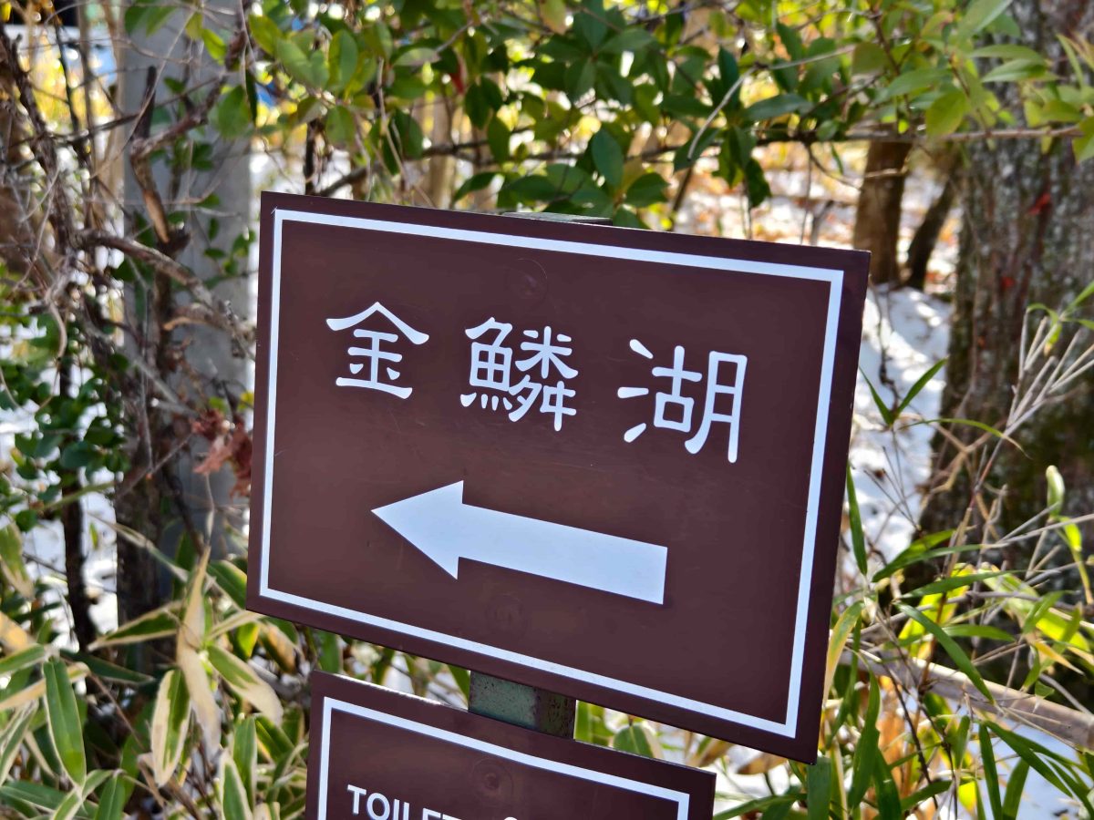 九州慢旅｜星浩旅遊九州十大必去景點＆必吃美食全攻略 - 九州景點, 旅行社推薦, 日本, 日本旅遊, 福岡旅遊 - 科技生活 - teXch