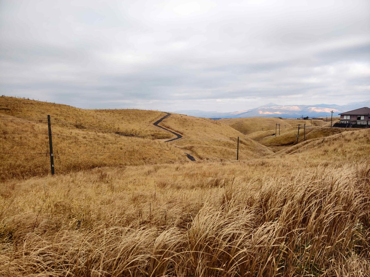 九州慢旅｜星浩旅遊九州十大必去景點＆必吃美食全攻略 - 九州景點, 旅行社推薦, 日本, 日本旅遊, 福岡旅遊 - 科技生活 - teXch
