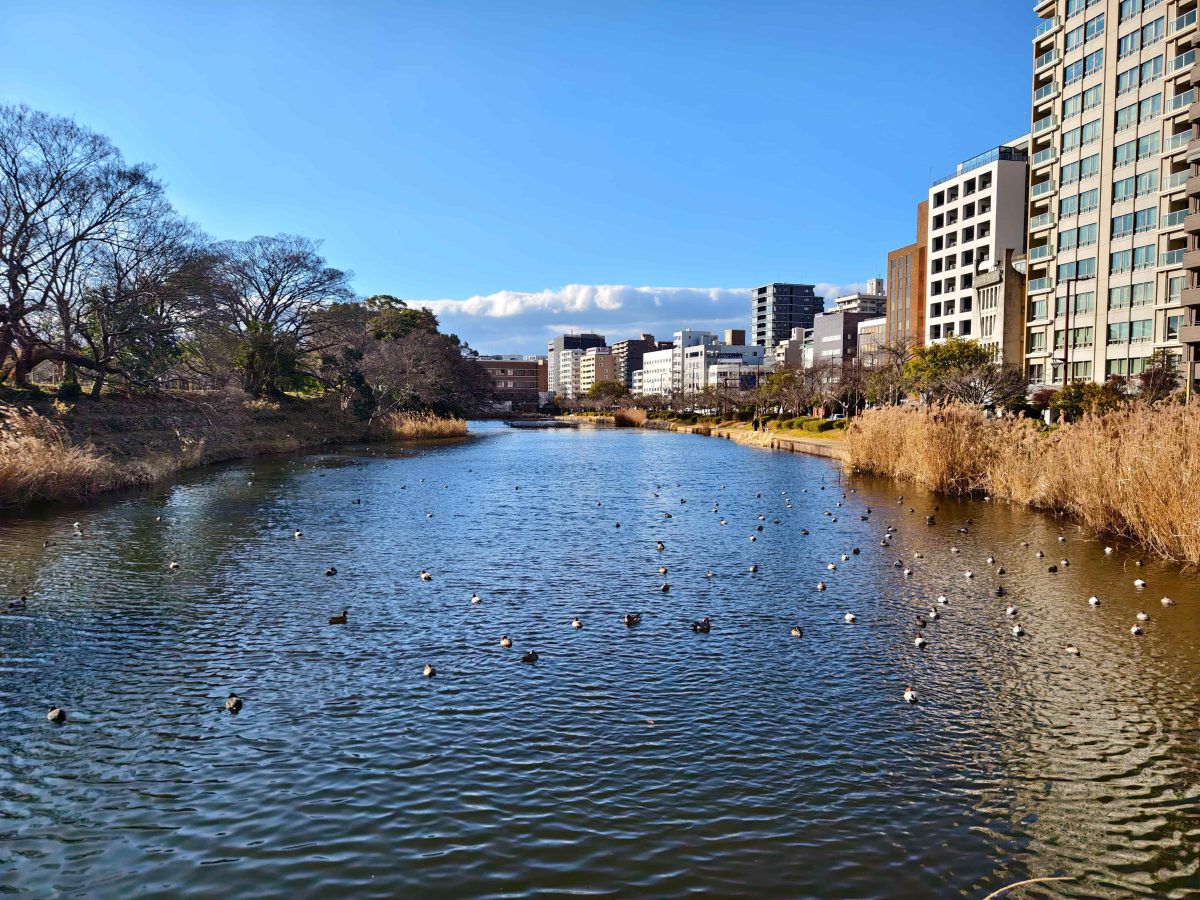 九州慢旅｜星浩旅遊九州十大必去景點＆必吃美食全攻略 - 九州景點, 旅行社推薦, 日本, 日本旅遊, 福岡旅遊 - 科技生活 - teXch